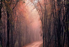 南宫28官方网站：再获一冠！覃海洋游出2：07.44，夺得春锦赛男子200米蛙泳冠军.