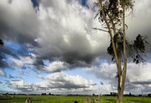 南宫28官方网站：再获一冠！覃海洋游出2：07.44，夺得春锦赛男子200米蛙泳冠军.