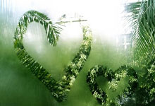 武磊阿兰无法随队 国客战澳大利亚饱受伤病困扰.